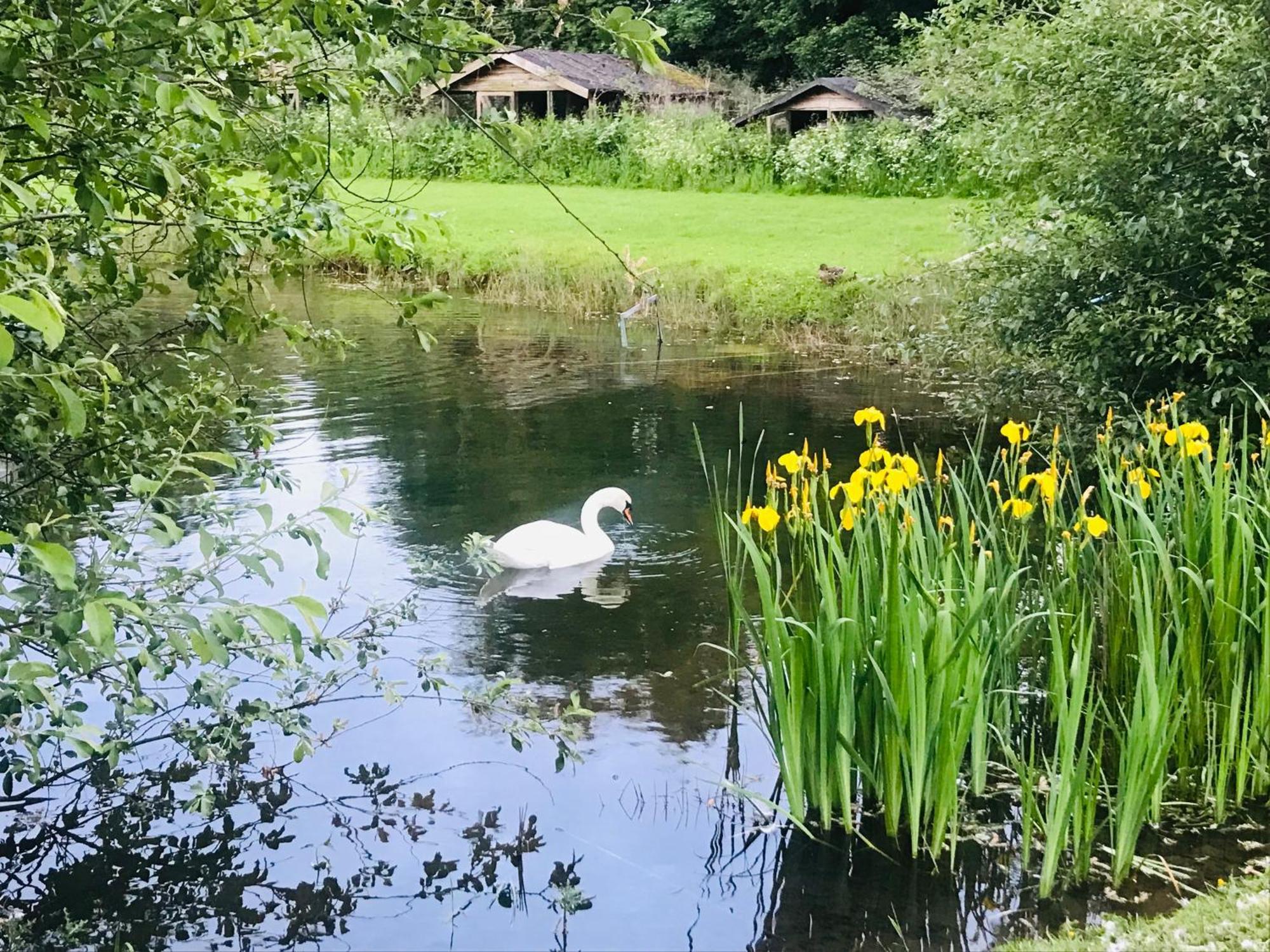 Bransford Farm Fishery & B & B Εξωτερικό φωτογραφία