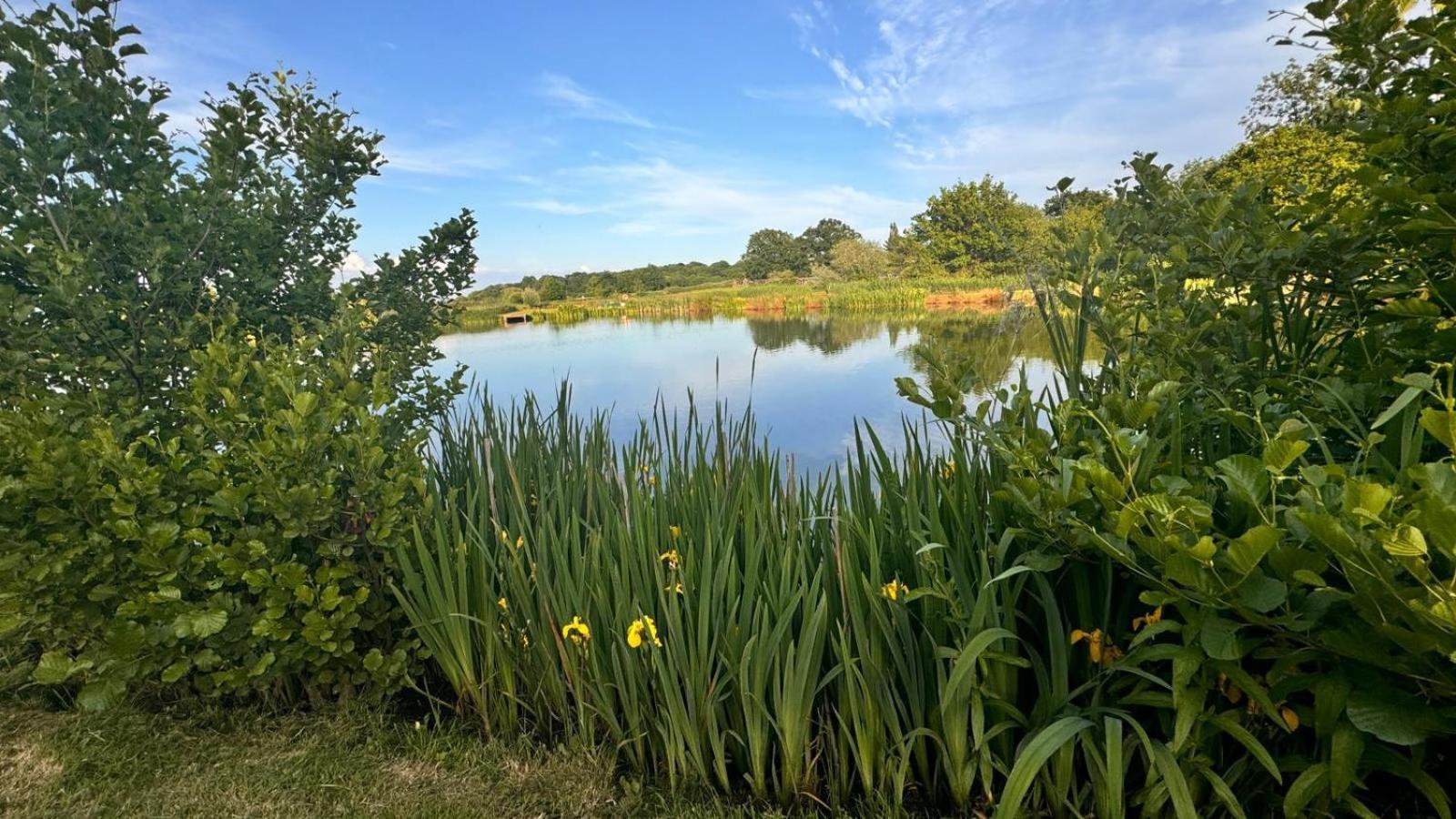 Bransford Farm Fishery & B & B Εξωτερικό φωτογραφία